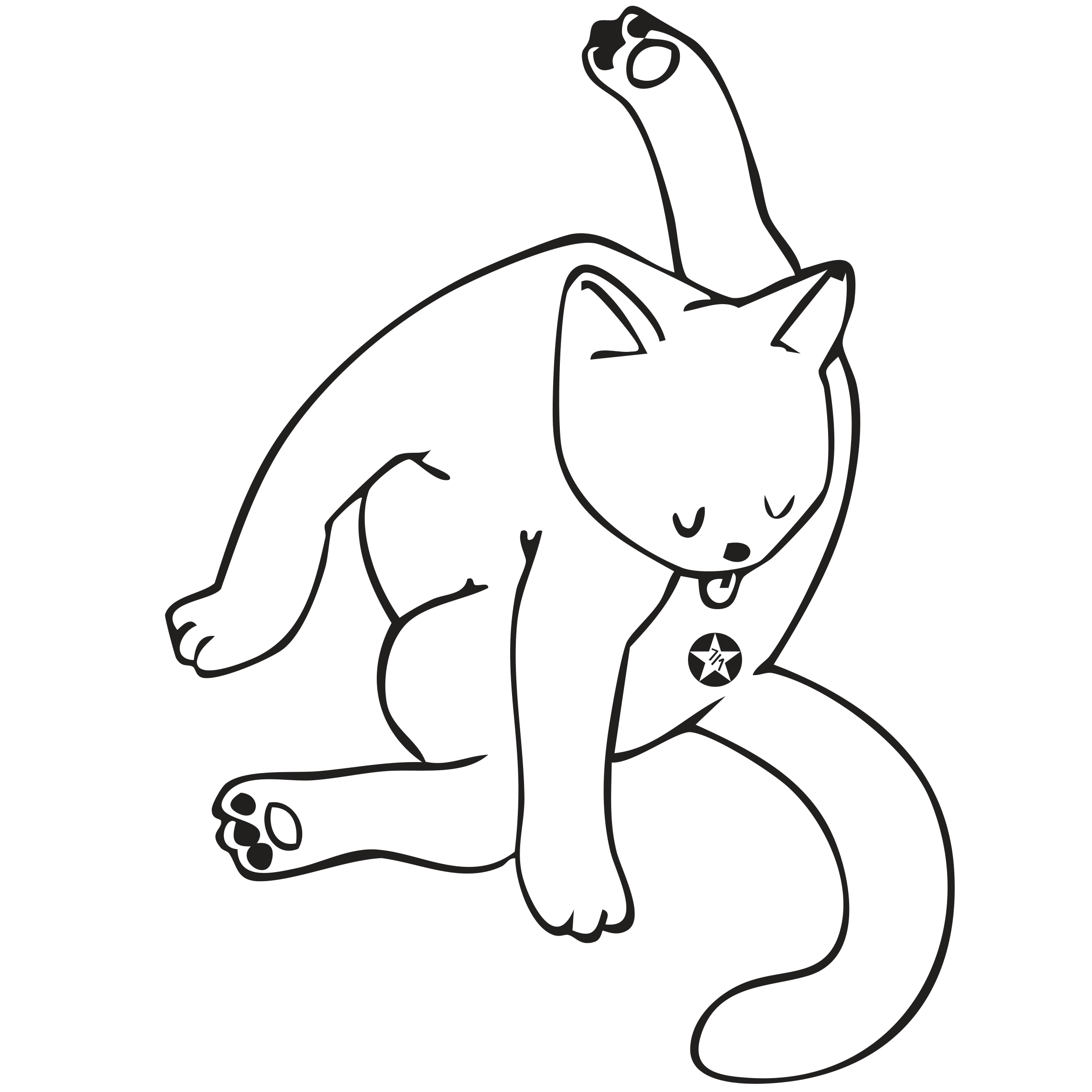 Katze der Woche 2026.41